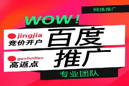 百度竞价托管：实战案例展示